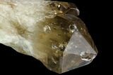 Smoky Citrine Crystal Cluster - Lwena, Congo #128414-2